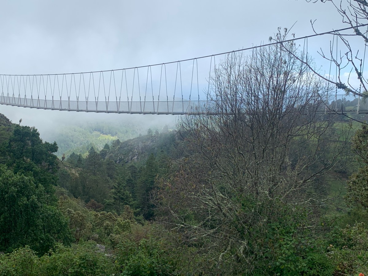 A Step Out of Oaxaca