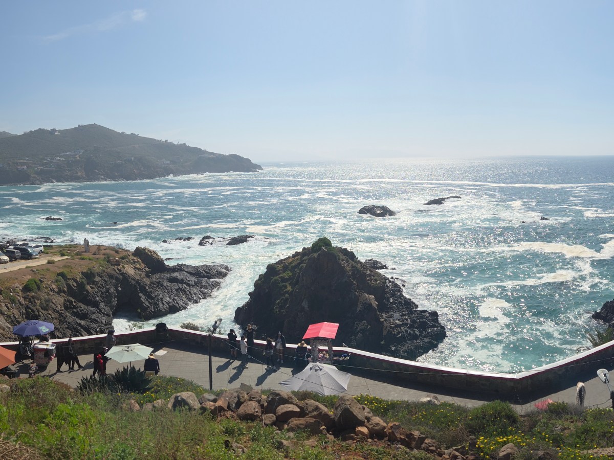 Adventures with Steve & Sannie_Ensenada 2026